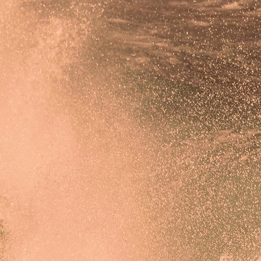 Black Friday-Holiday Glow